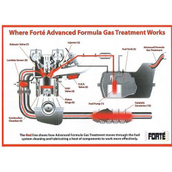 Forte Advanced Formula Gas Treatment 400ml