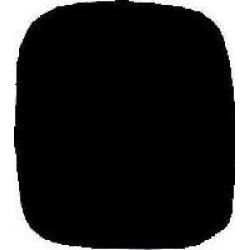 Black Wing Mirror Cover Passenger Side(LH)
