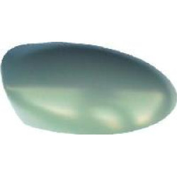Ford Focus Wing Mirror Cover Drivers Side(RH)